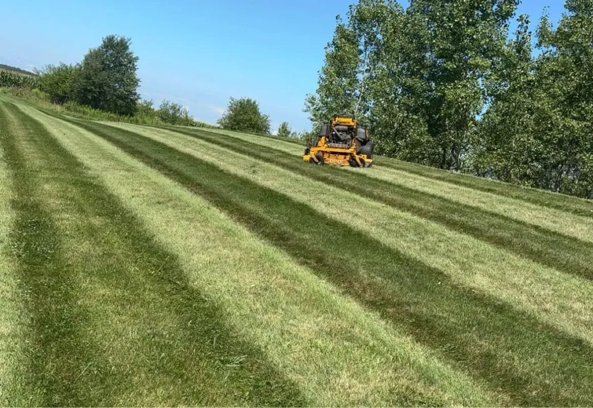Lawn Mowing & Maintenance